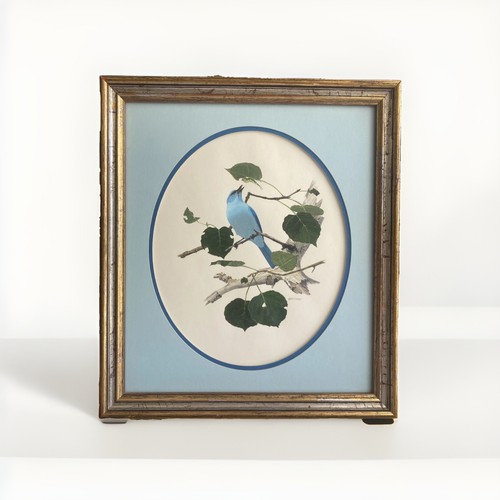 Vintage print the colorado - by,